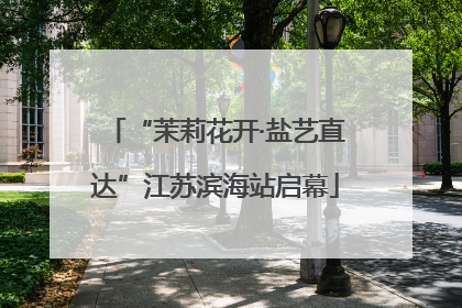 “茉莉花开·盐艺直达”江苏滨海站启幕