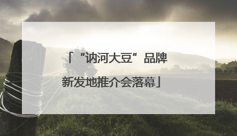 “讷河大豆”品牌新发地推介会落幕