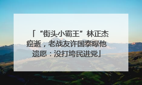 “街头小霸王”林正杰癌逝，老战友许国泰曝他遗愿：没打垮民进党