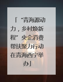 “青海源动力，乡村焕新程”央企消费帮扶聚力行动在青海西宁举办