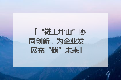 “链上坪山”协同创新，为企业发展充“储”未来