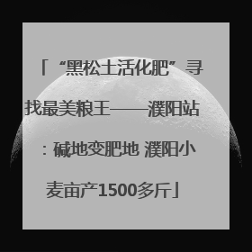 “黑松土活化肥”寻找最美粮王——濮阳站：碱地变肥地 濮阳小麦亩产1500多斤