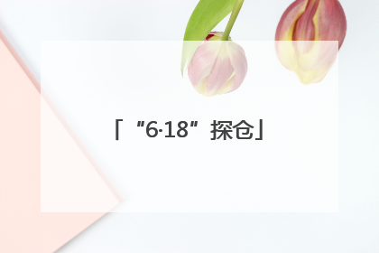 “6·18”探仓