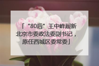 “80后”王中峰履新北京市委政法委副书记，原任西城区委常委