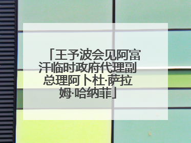 王予波会见阿富汗临时政府代理副总理阿卜杜·萨拉姆·哈纳菲