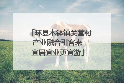 环县木钵镇关营村 产业融合引客来 宜居宜业更宜游