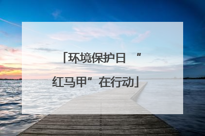 环境保护日 “红马甲”在行动