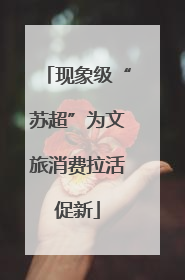 现象级“苏超”为文旅消费拉活促新