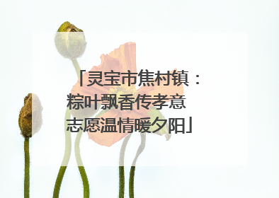 灵宝市焦村镇：粽叶飘香传孝意 志愿温情暖夕阳