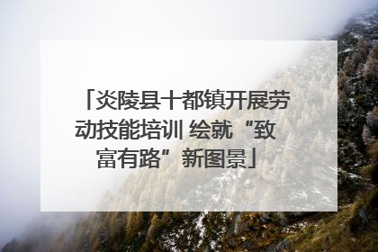 炎陵县十都镇开展劳动技能培训 绘就“致富有路”新图景