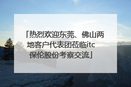 热烈欢迎东莞、佛山两地客户代表团莅临itc保伦股份考察交流