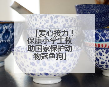 爱心接力！保康小学生救助国家保护动物冠鱼狗