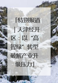 特别报道｜天津经开区：以“高智绿”转型破解产业升级压力