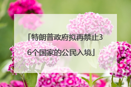 特朗普政府拟再禁止36个国家的公民入境