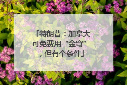 特朗普：加拿大可免费用“金穹”，但有个条件