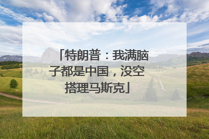 特朗普：我满脑子都是中国，没空搭理马斯克