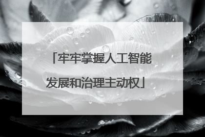 牢牢掌握人工智能发展和治理主动权