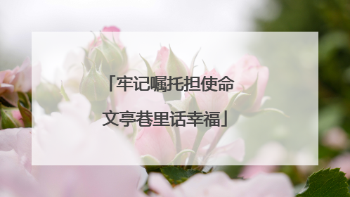 牢记嘱托担使命 文亭巷里话幸福