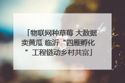 物联网种草莓 大数据卖黄瓜 临沂“四雁孵化”工程链动乡村共富