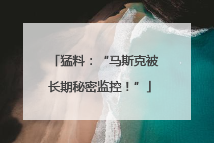 猛料：“马斯克被长期秘密监控！”