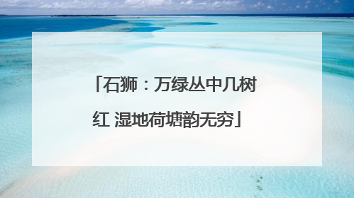 石狮：万绿丛中几树红 湿地荷塘韵无穷