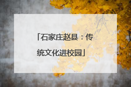 石家庄赵县：传统文化进校园