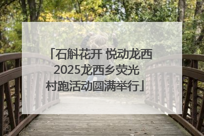 石斛花开 悦动龙西 2025龙西乡荧光村跑活动圆满举行