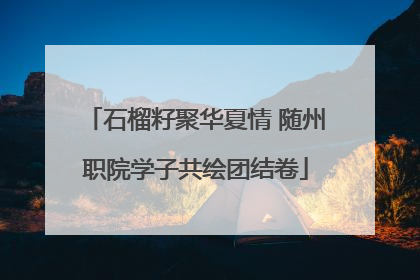 石榴籽聚华夏情 随州职院学子共绘团结卷