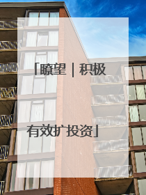 瞭望｜积极有效扩投资