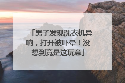 男子发现洗衣机异响，打开被吓晕！没想到竟是这玩意