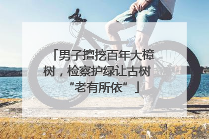 男子擅挖百年大樟树，检察护绿让古树“老有所依”
