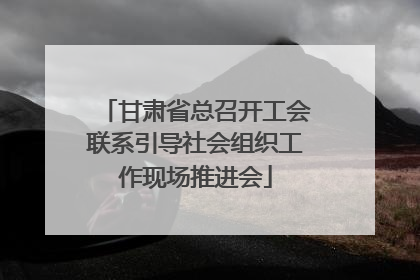 甘肃省总召开工会联系引导社会组织工作现场推进会