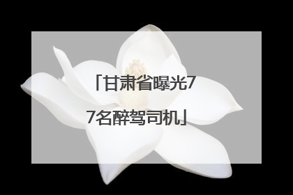 甘肃省曝光77名醉驾司机
