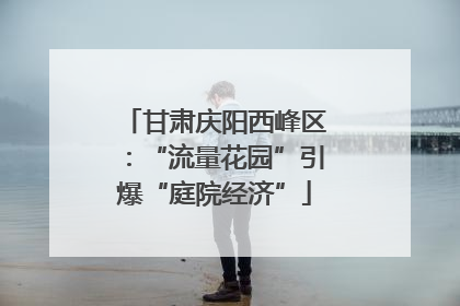 甘肃庆阳西峰区：“流量花园”引爆“庭院经济”