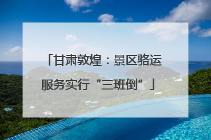 甘肃敦煌：景区骆运服务实行“三班倒”
