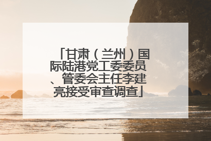甘肃（兰州）国际陆港党工委委员、管委会主任李建亮接受审查调查