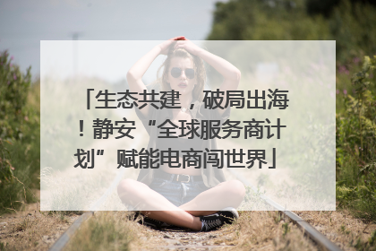 生态共建，破局出海！静安“全球服务商计划”赋能电商闯世界