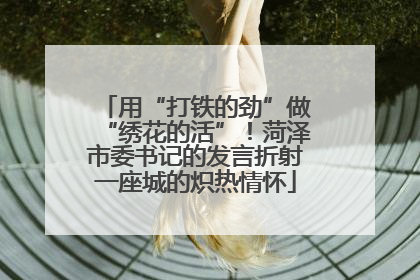 用“打铁的劲”做“绣花的活”！菏泽市委书记的发言折射一座城的炽热情怀
