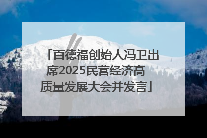 百德福创始人冯卫出席2025民营经济高质量发展大会并发言