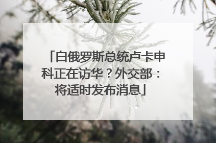 白俄罗斯总统卢卡申科正在访华？外交部：将适时发布消息