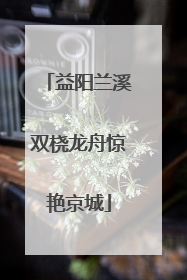益阳兰溪双桡龙舟惊艳京城