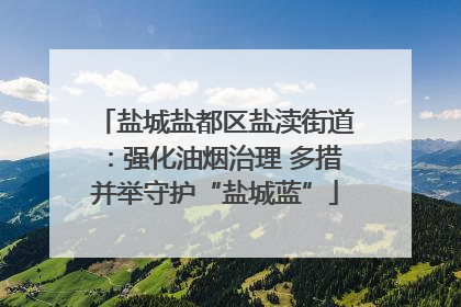 盐城盐都区盐渎街道：强化油烟治理 多措并举守护“盐城蓝”
