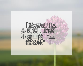 盐城经开区步凤镇：助餐小院里的“幸福滋味”
