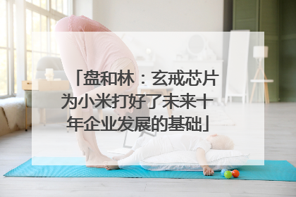 盘和林：玄戒芯片为小米打好了未来十年企业发展的基础