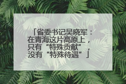 省委书记吴晓军：在青海这片高原上，只有“特殊贡献”，没有“特殊待遇”
