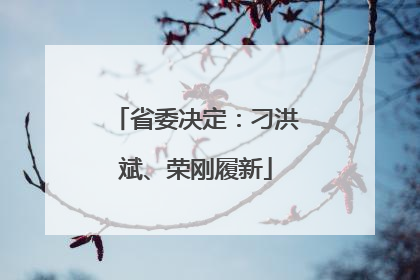 省委决定：刁洪斌、荣刚履新