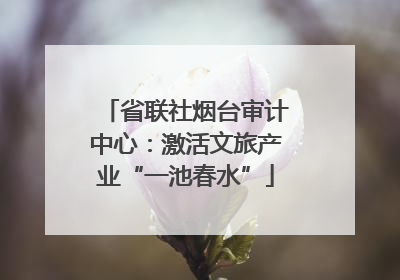 省联社烟台审计中心：激活文旅产业“一池春水”