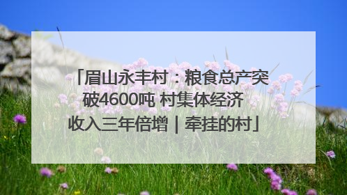 眉山永丰村：粮食总产突破4600吨 村集体经济收入三年倍增｜牵挂的村