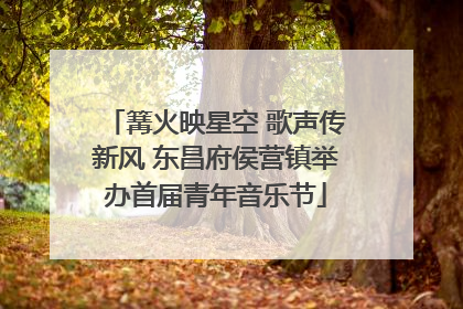 篝火映星空 歌声传新风 东昌府侯营镇举办首届青年音乐节