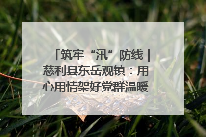 筑牢“汛”防线｜慈利县东岳观镇：用心用情架好党群温暖悠长的“连心桥”